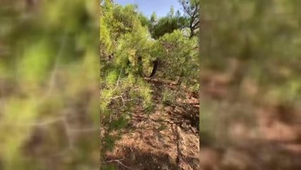 Terör operasyonunda yaşam malzemeleri ele geçirildi