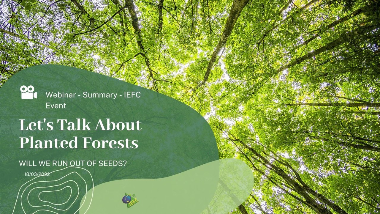 Webinar - Let's Talk About Planted Forests  - "Will we run out of seeds?