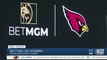 Arizona Cardinals, BetMGM focusing on the experience for growing number of female fans