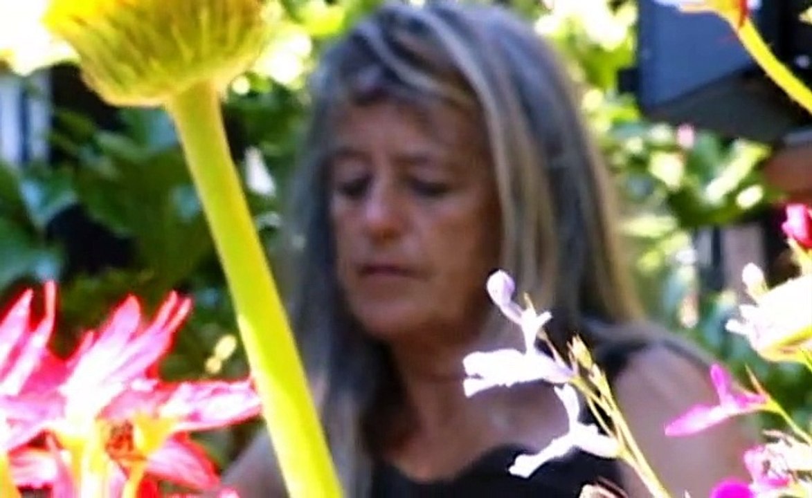 Status Anxiety_3of3 video Dailymotion