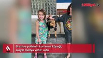 Brezilya polisinin kurtarma köpeği, sosyal medya yıldızı oldu