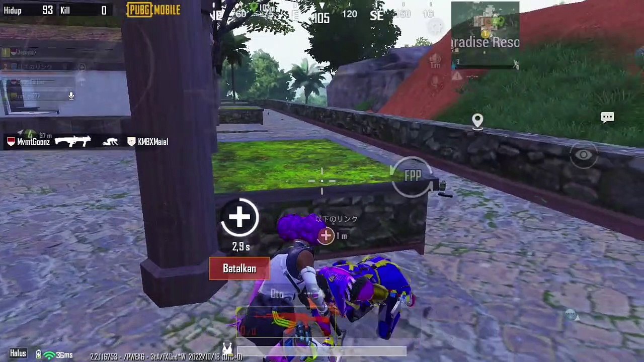 PUBG Highlight#3 Paradise