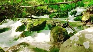 Calm Relaxing Music _ Relaxation And Meditation Music