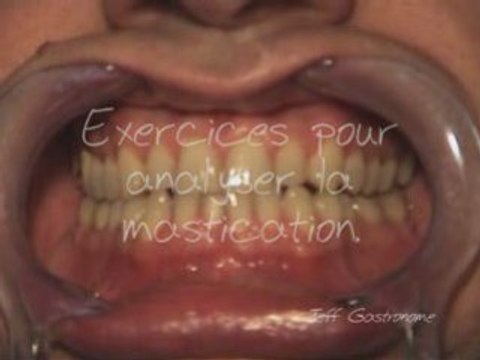 Mastication