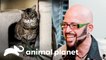Jackson devolve a paz ao lar de duas gatas | Meu Gato Endiabrado | Animal Planet Brasil