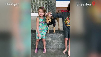 Brezilya polisinin kurtarma köpeği, sosyal medya yıldızı oldu