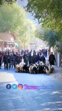 Kabi kabi itefaq sai .#roadtrip #reelsinstagram #autumnvibes #summervibes #trendingreels #shorts