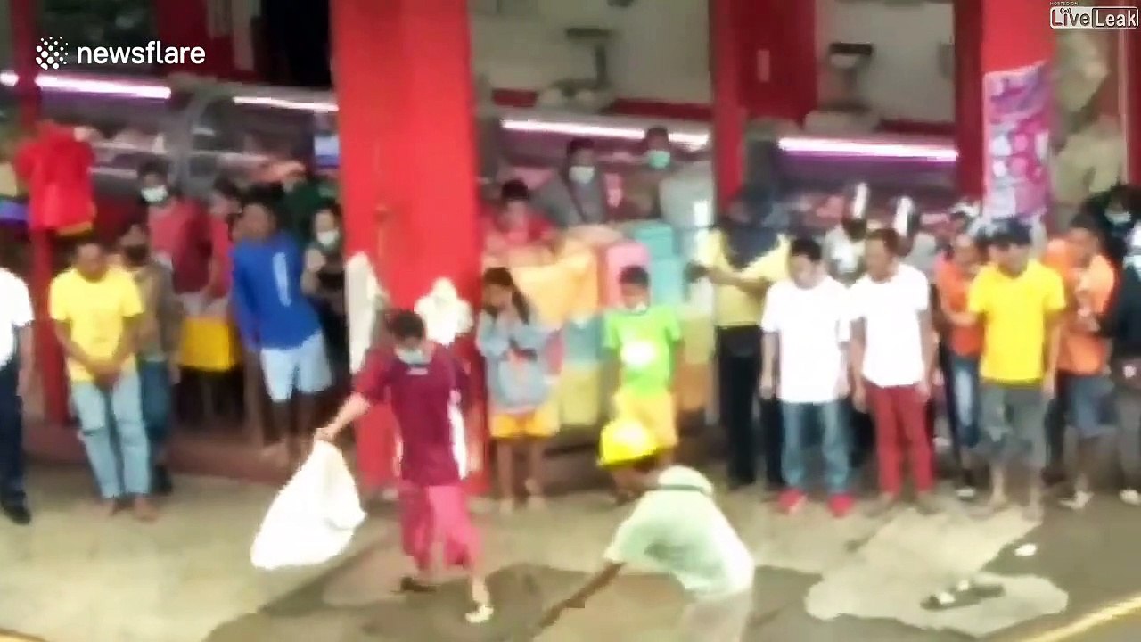 Il attrape un python de plus de 3m en pleine ville aux Philippines