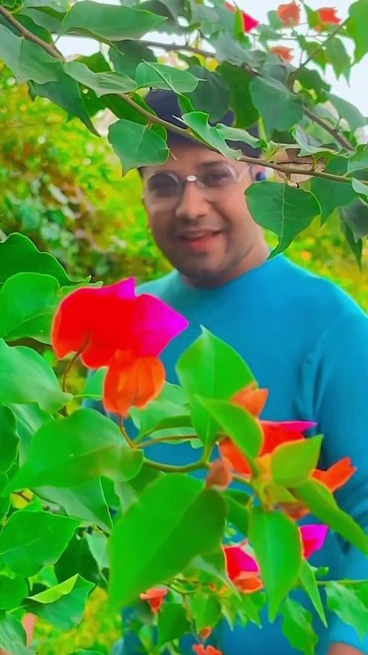 Bas ek nazar usko dekha