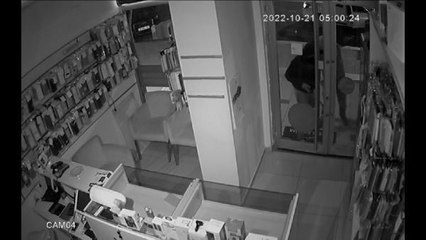 BÜYÜKÇEKMECE'DE DÜKKANDAN 20 CEP TELEFONU DIŞARIDAN OTOMOBİLİ ÇALDILAR