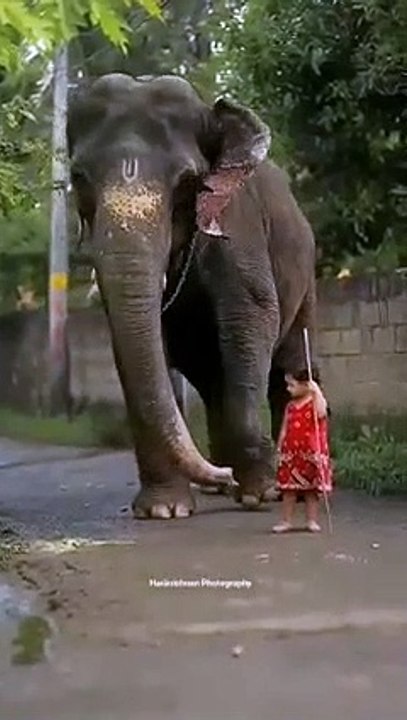 Baby-Girl-and-her-Pet-️-By-Gajarajanmar-_113