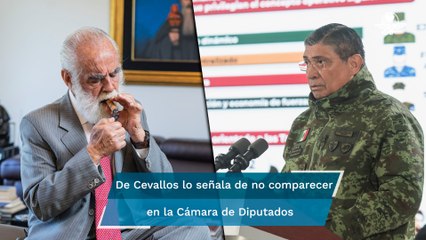 “Jefe Diego”: Cresencio Sandoval “dejó de comportarse como militar y se convirtió en militante”