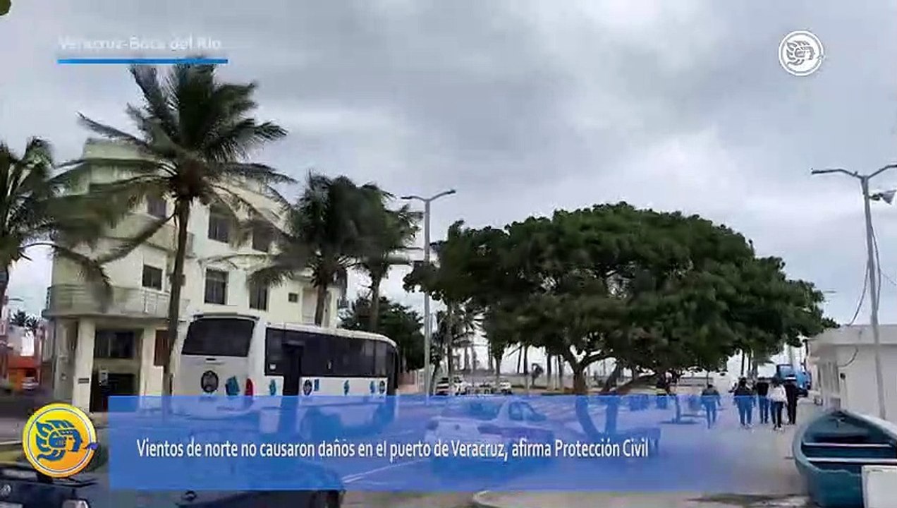 Vientos de norte no causaron daños en el puerto de Veracruz, afirma Protección Civil