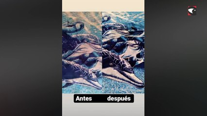 3 Miradas Mauricio Amarilla, Lavaposadas