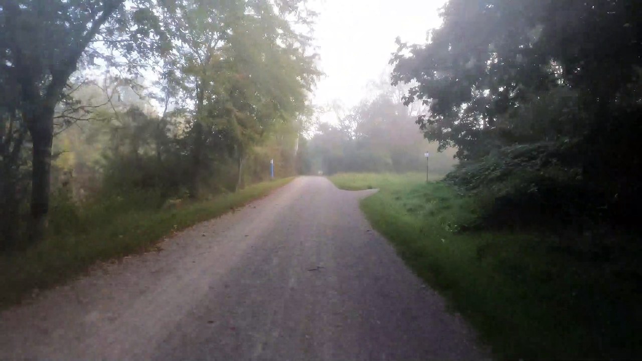 Wien am Rad: Marchfeldkanal im Morgennebel (2)