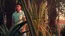Mehdi Fadili - Mamnou3a (EXCLUSIVE Music Video) _ (مهدي فاضيلي - ممنوعة (فيديو كليب(360P)