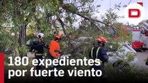 Bomberos de la Comunidad de Madrid gestionan 180 expedientes por fuerte viento