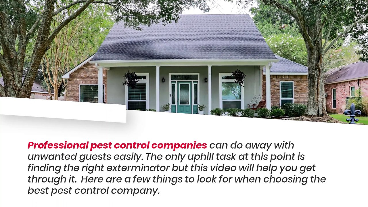 Pest Control Services Cost New Rochelle - Are You Looking For Pest Control Services Cost New Rochelle?
