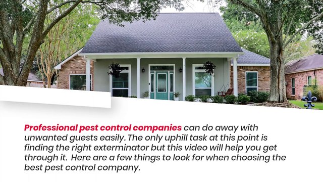 Pest Control Services Cost New Rochelle - Are You Looking For Pest Control Services Cost New Rochelle?