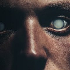 What If Your Memories Were Fake?