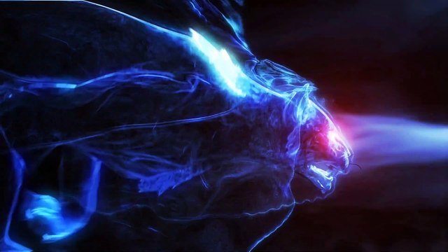 Electric Fly Swatter DHWP01L (Review)