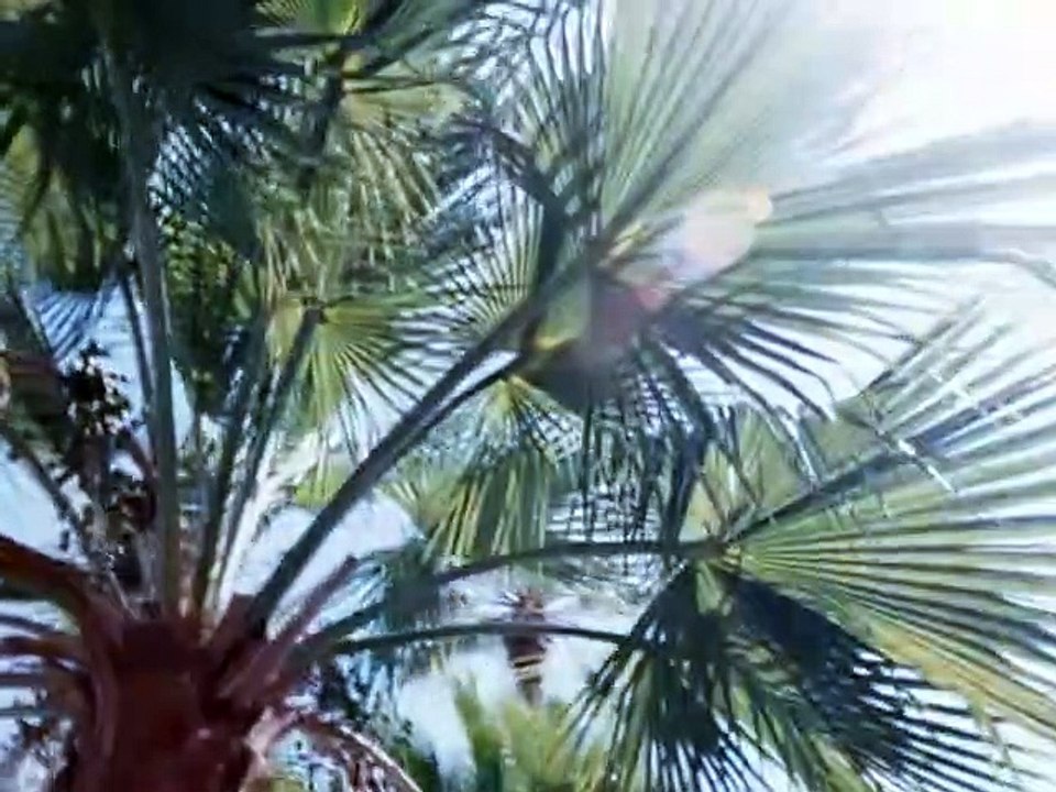 Hunter Staffel 3 Folge 15 HD Deutsch