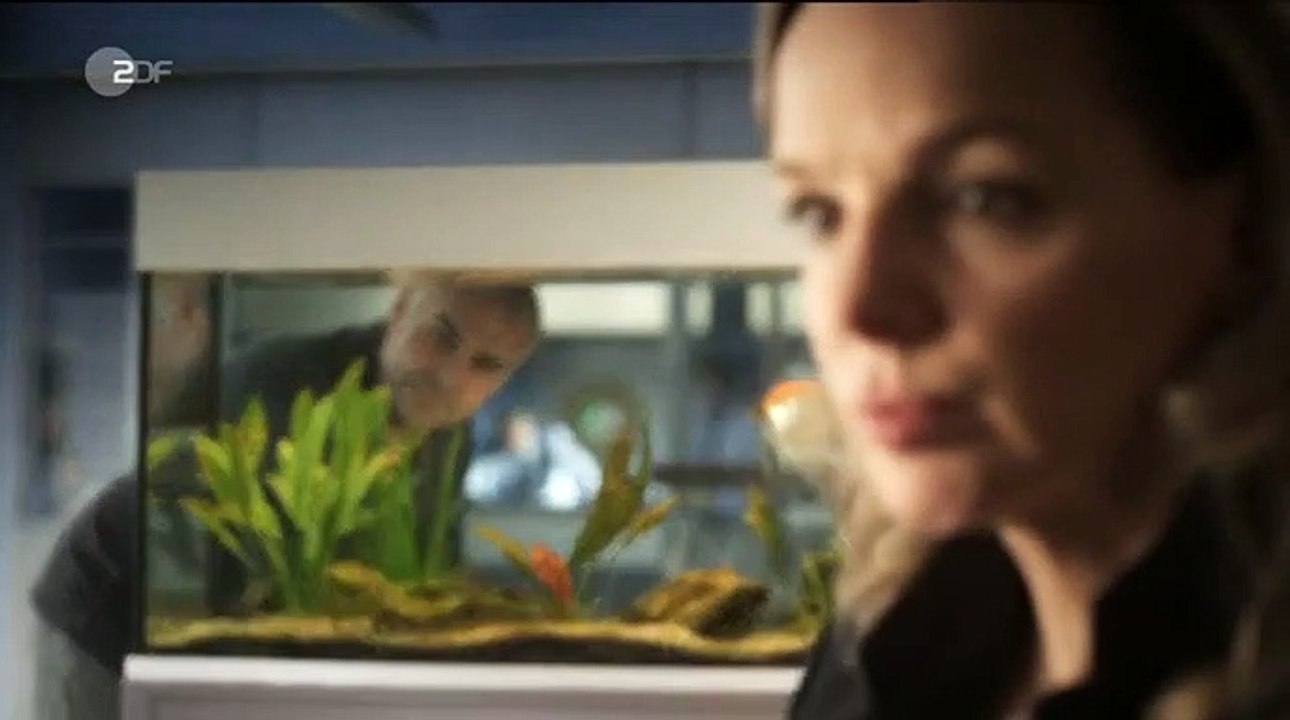 SOKO Köln Staffel 9 Folge 19 HD Deutsch