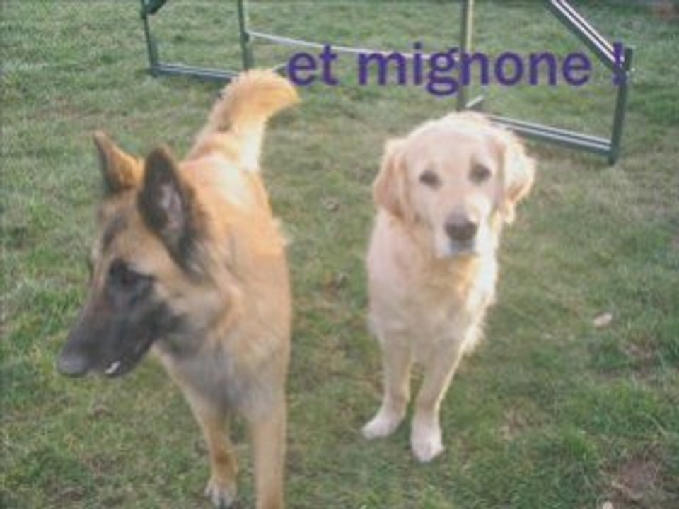 SansTitre002_0001