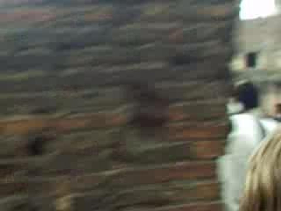 ASF_0021