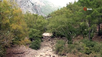 Antalya’da Üzümdere Irmağı kurudu, yavru alabalıklar telef oldu