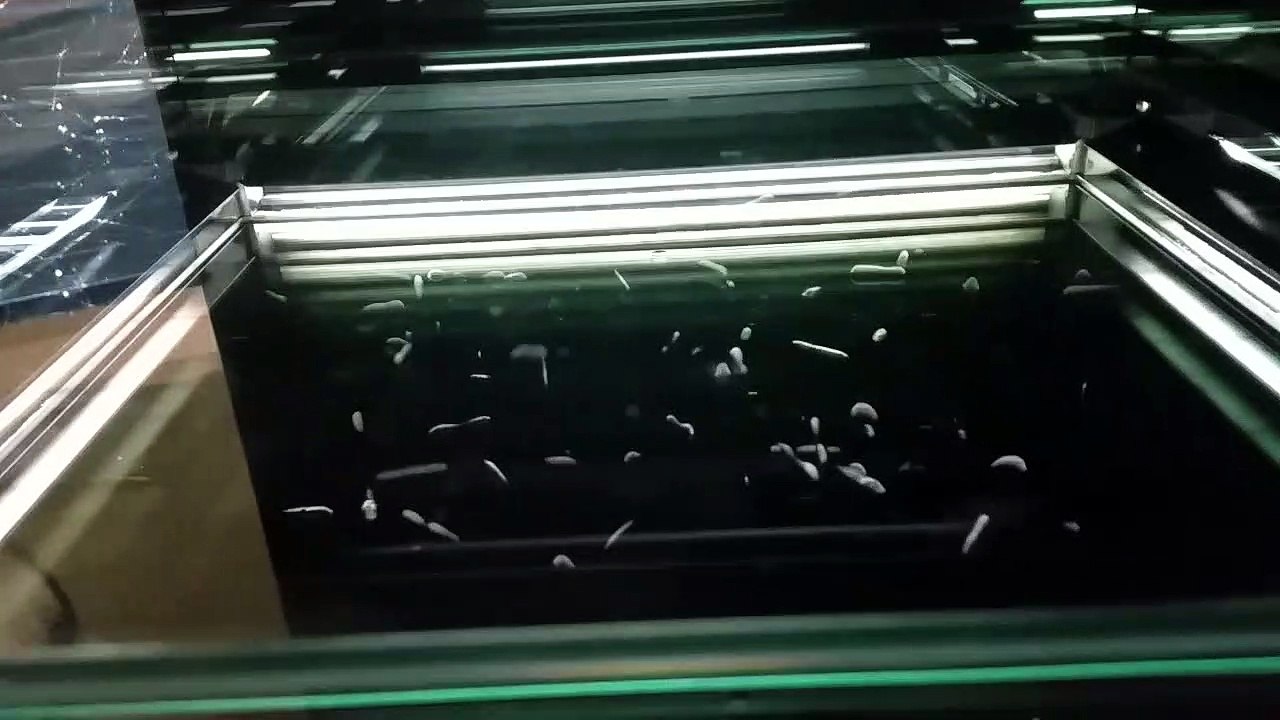 kosmische Strahlungen