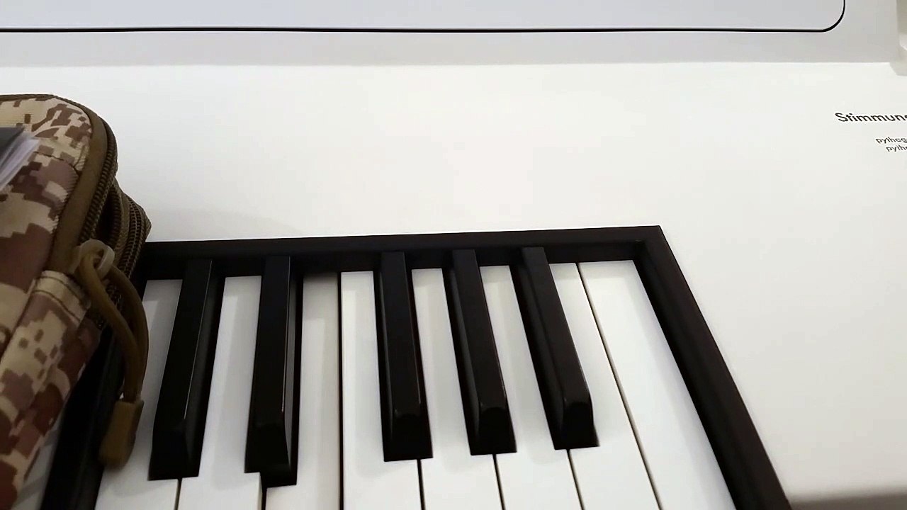 Elektroklavier (20220727_162759)