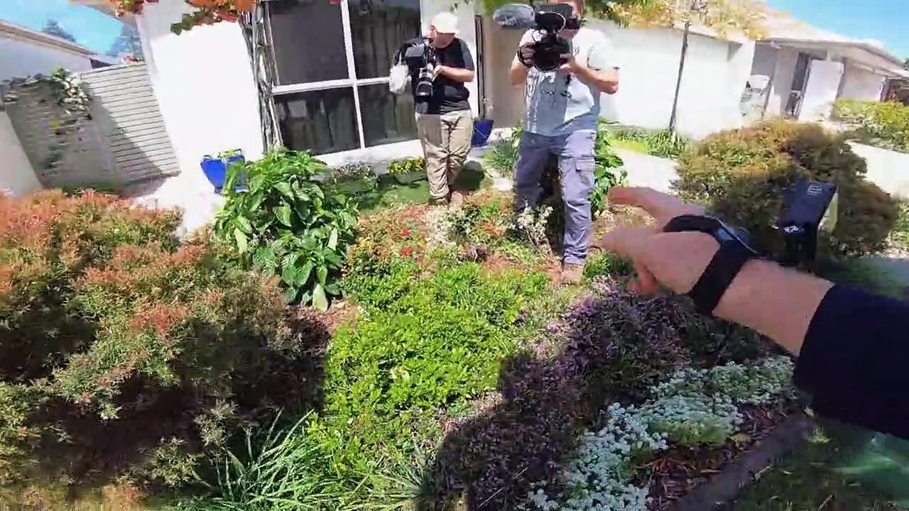 Snake Security - Schlangenalarm in Australien Staffel 1 Folge 2 HD Deutsch