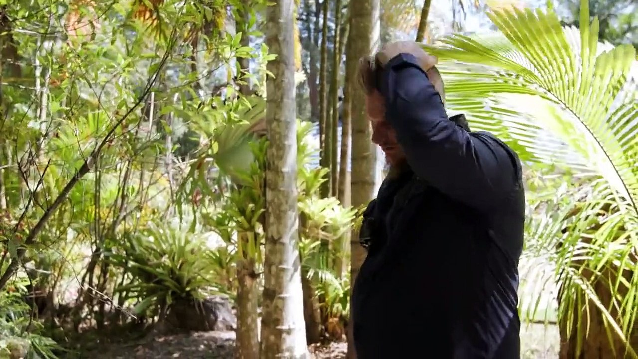 Snake Security - Schlangenalarm in Australien Staffel 1 Folge 7 HD Deutsch