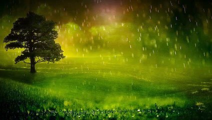 10 Minute Meditation Music - Relaxing Music Nature Sounds Rain