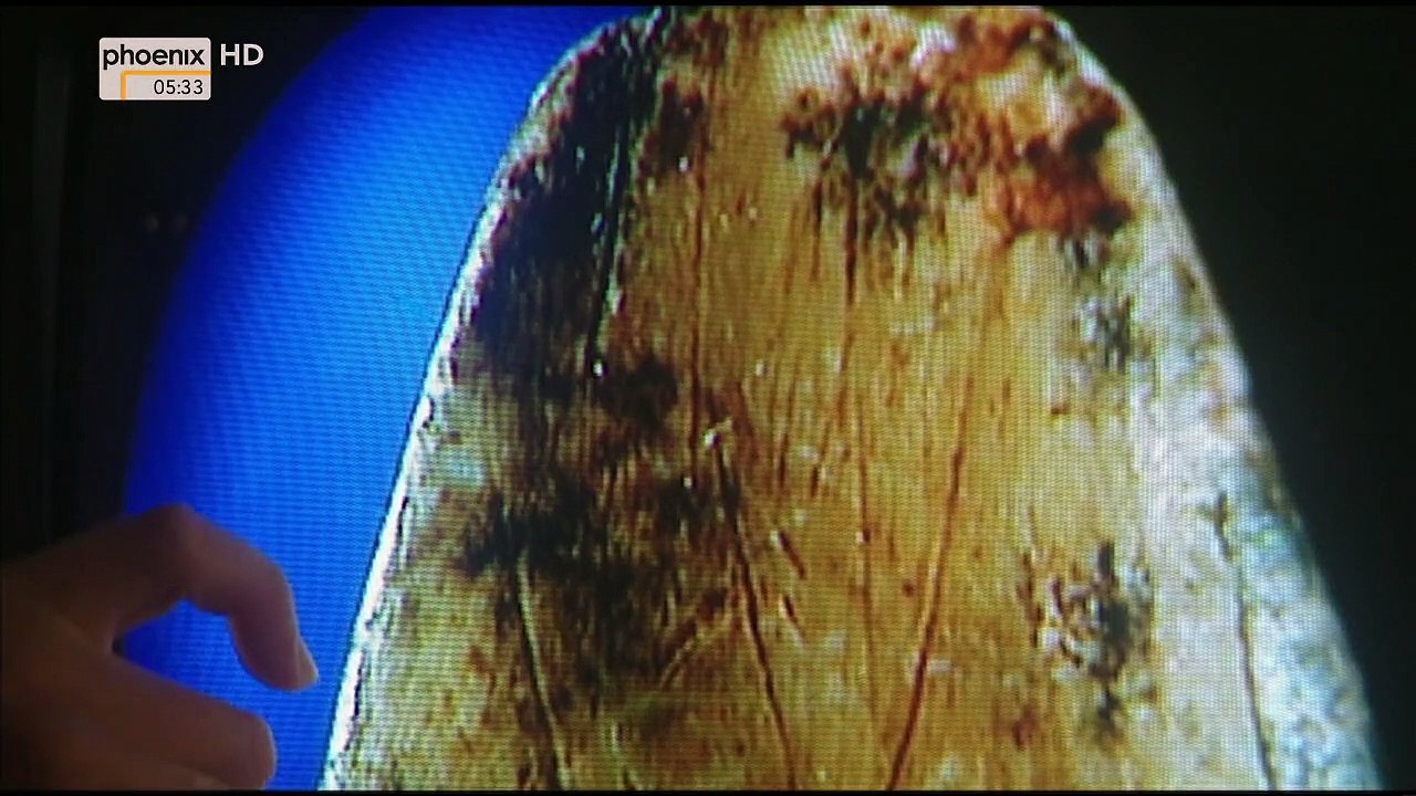 Terra X Die Odyssee des Menschen Staffel 1 Folge 1 HD Deutsch