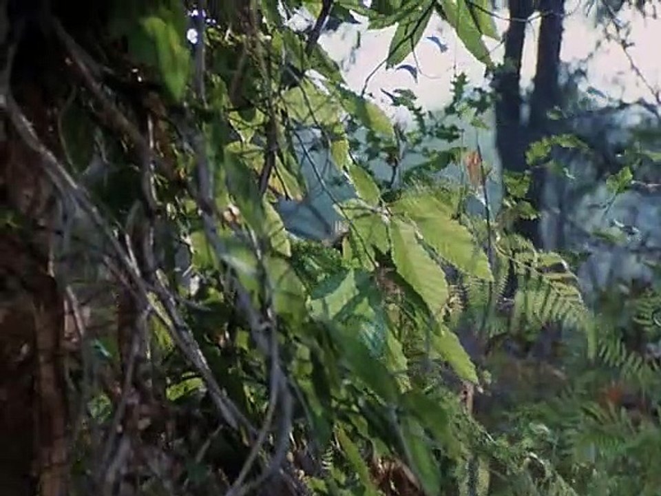 Der Schatz im All Staffel 1 Folge 6 HD Deutsch