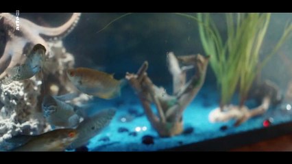 Die Frau aus dem Meer Staffel 1 Folge 3 HD Deutsch