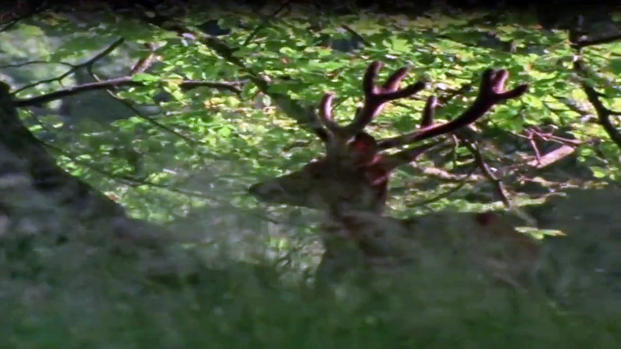 Robin Hood (1984) Staffel 1 Folge 1 HD Deutsch