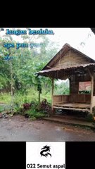 apapun yg hilang takkan pernah kembali