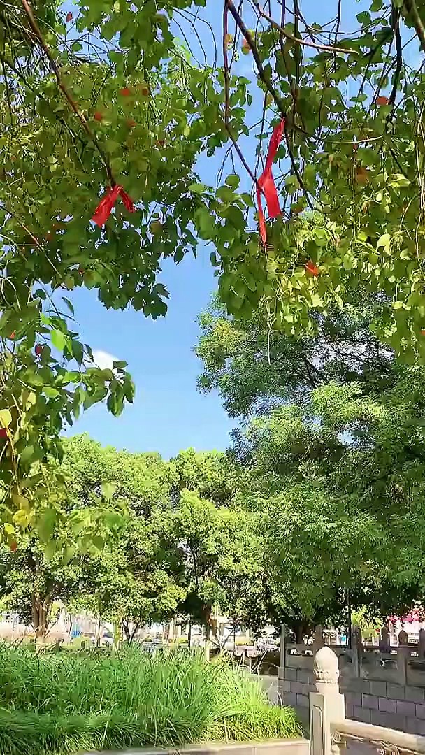 ⁣#Short Aww Animals & Pets -- funny cat laughing