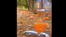 Can't Take My Eyes Off these Juicy fruits|Fruits Cutting|Healthy juices|Naturally weight lose Drink | Weight lose diet | weight gain diet plan