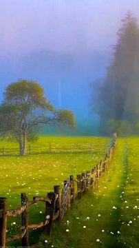 Romantic Nature whatsapp status, romantic nature, romantic nature song, romantic nature music.