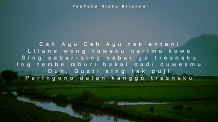 Abote Wong Nandang Tresno - Cover - Tresno Sudro