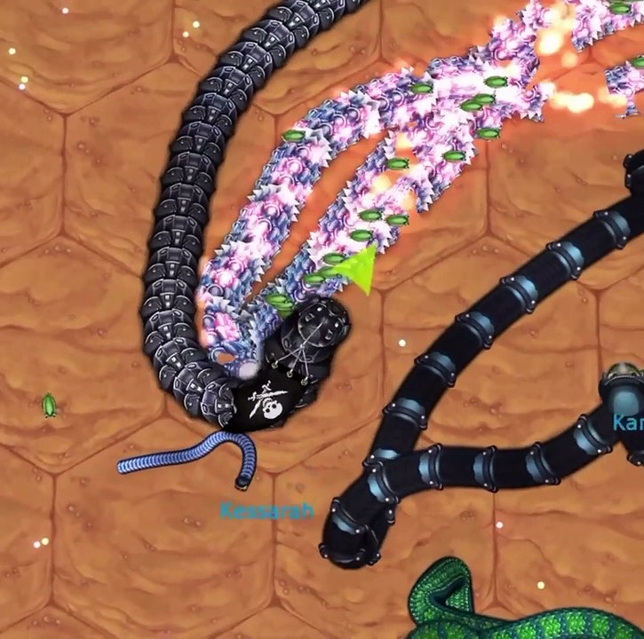 Worm Bug