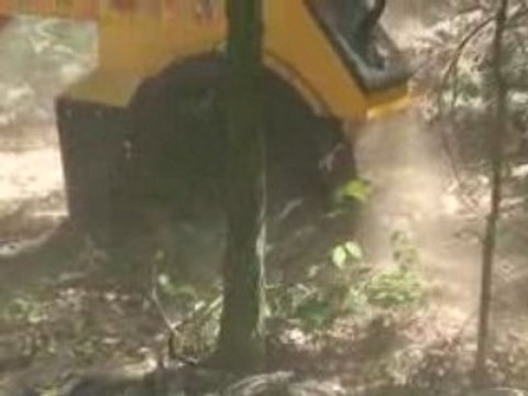 TIMBERCOOP FRAISEUSE DE SOUCHES BROYAGE DE SOUCHES