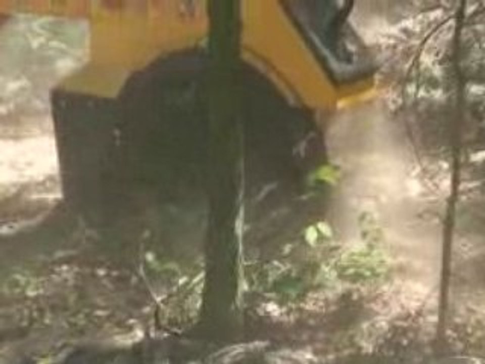 TIMBERCOOP FRAISEUSE DE SOUCHES BROYAGE DE SOUCHES