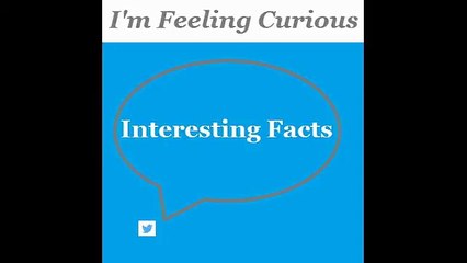 OK Google Now:I'm Feeling Curious,Interesting Facts,Google Search