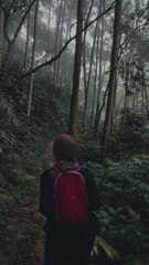 View nya bikin adem |bagus buat instanstory kalian| story wa