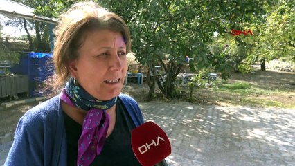 Kötülükleri yok etsin diye kırmışlar: Binlerce yıllık figürler bulundu